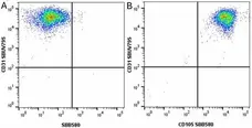 Anti Human CD31 Antibody, clone WM59 gallery image 54