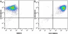 Anti Human CD31 Antibody, clone WM59 gallery image 58