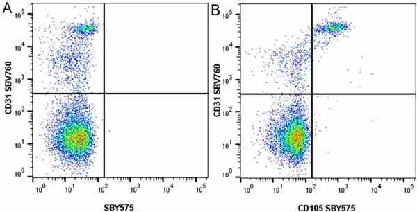 Anti Human CD31 Antibody, clone WM59 gallery image 61