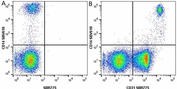 Anti Human CD31 Antibody, clone WM59 gallery image 64