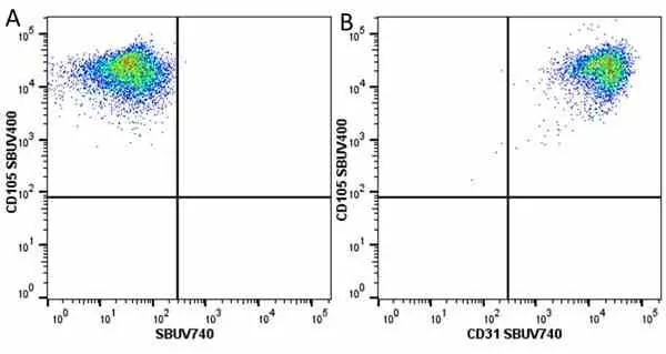 Anti Human CD31 Antibody, clone WM59 gallery image 67