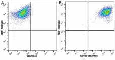 Anti Human CD31 Antibody, clone WM59 gallery image 68