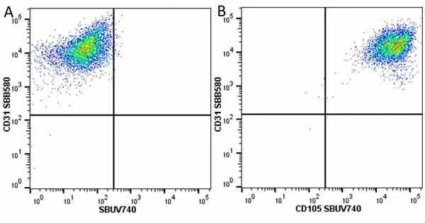 Anti Human CD31 Antibody, clone WM59 gallery image 68