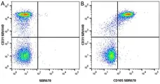 Anti Human CD31 Antibody, clone WM59 gallery image 72