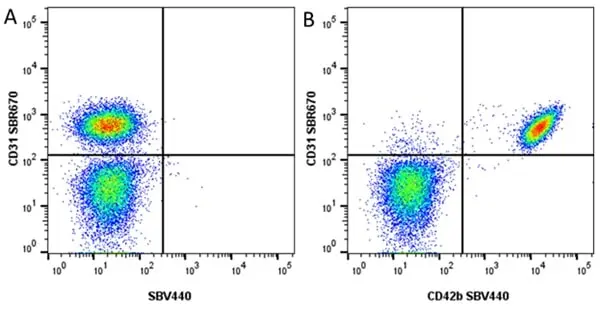 Anti Human CD31 Antibody, clone WM59 gallery image 75