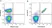 Anti Human CD31 Antibody, clone WM59 thumbnail image 77