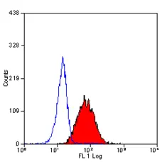Anti Human CD312 Antibody, clone 2A1 gallery image 1