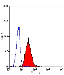 Anti Human CD312 Antibody, clone 2A1 gallery image 2