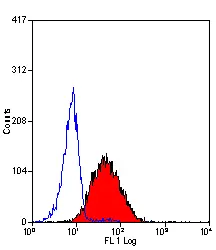 Anti Human CD312 Antibody, clone 2A1 gallery image 3