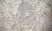 Anti Human CD314 Antibody, clone 1D11 thumbnail image 1