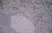 Anti Human CD314 Antibody, clone 1D11 thumbnail image 3