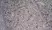 Anti Human CD314 Antibody, clone 1D11 thumbnail image 4