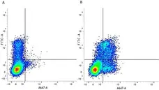 Anti Human CD314 Antibody, clone 1D11 gallery image 6
