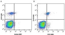 Anti Human CD32 Antibody, clone AT10 gallery image 4