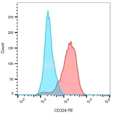 Anti Human CD324 Antibody, clone 67A4 gallery image 3