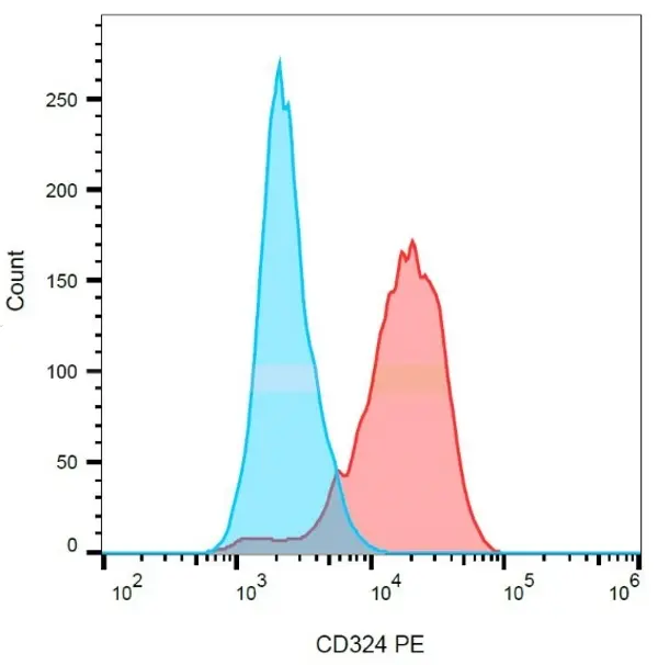 Anti Human CD324 Antibody, clone 67A4 gallery image 3