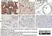 Anti Human CD326 Antibody, clone MOC-31 thumbnail image 11