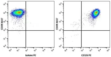Anti Human CD326 Antibody, clone VU-1D9 gallery image 4