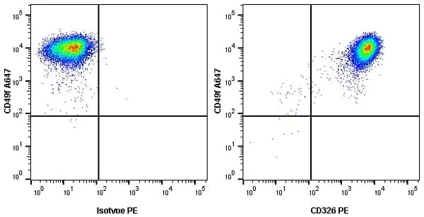 Anti Human CD326 Antibody, clone VU-1D9 gallery image 4