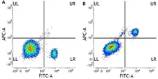 Anti Human CD33 Antibody, clone WM53 gallery image 1