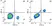Anti Human CD33 Antibody, clone WM53 thumbnail image 1