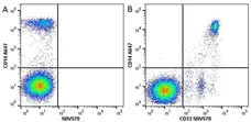 Anti Human CD33 Antibody, clone WM53 gallery image 10