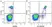 Anti Human CD33 Antibody, clone WM53 thumbnail image 14