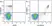 Anti Human CD33 Antibody, clone WM53 thumbnail image 15