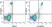 Anti Human CD33 Antibody, clone WM53 thumbnail image 17