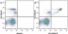 Anti Human CD33 Antibody, clone WM53 gallery image 18
