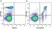 Anti Human CD33 Antibody, clone WM53 thumbnail image 19