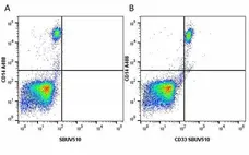 Anti Human CD33 Antibody, clone WM53 gallery image 20