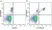 Anti Human CD33 Antibody, clone WM53 thumbnail image 21