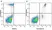Anti Human CD33 Antibody, clone WM53 thumbnail image 22