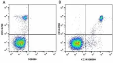 Anti Human CD33 Antibody, clone WM53 gallery image 25