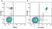 Anti Human CD33 Antibody, clone WM53 thumbnail image 25