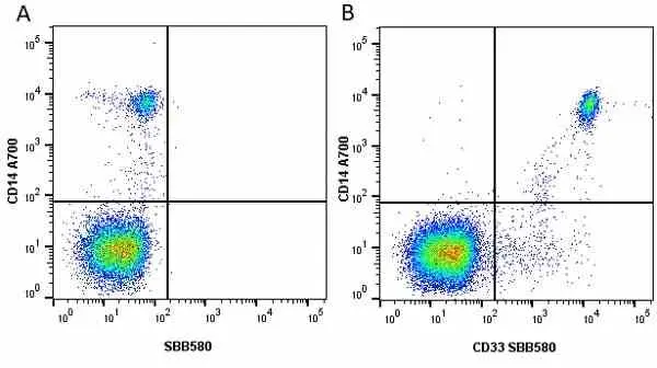 Anti Human CD33 Antibody, clone WM53 gallery image 25