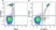 Anti Human CD33 Antibody, clone WM53 thumbnail image 26