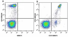 Anti Human CD33 Antibody, clone WM53 gallery image 27