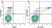 Anti Human CD33 Antibody, clone WM53 thumbnail image 28