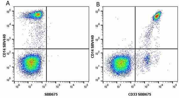 Anti Human CD33 Antibody, clone WM53 gallery image 27