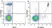 Anti Human CD33 Antibody, clone WM53 thumbnail image 29