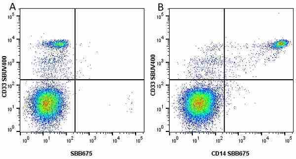 Anti Human CD33 Antibody, clone WM53 gallery image 28
