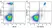 Anti Human CD33 Antibody, clone WM53 thumbnail image 34