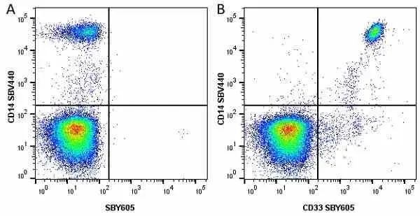 Anti Human CD33 Antibody, clone WM53 gallery image 36