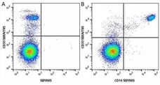 Anti Human CD33 Antibody, clone WM53 gallery image 37