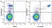 Anti Human CD33 Antibody, clone WM53 thumbnail image 37