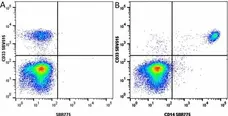 Anti Human CD33 Antibody, clone WM53 gallery image 42