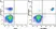 Anti Human CD33 Antibody, clone WM53 thumbnail image 42