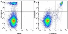 Anti Human CD33 Antibody, clone WM53 gallery image 43